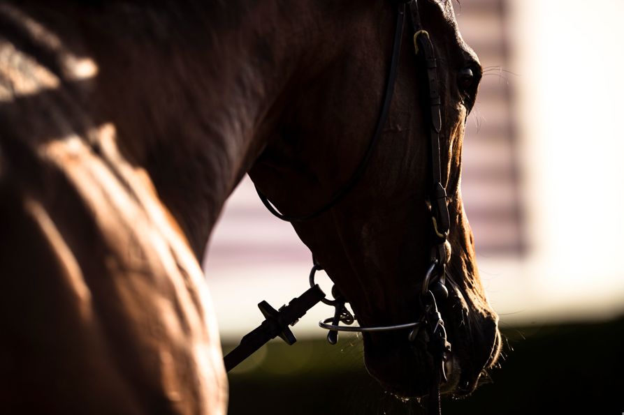 2018 Qatar Goodwood Festival.QGF2018.1st - 4th August 2018.Photo: Drew Gibson