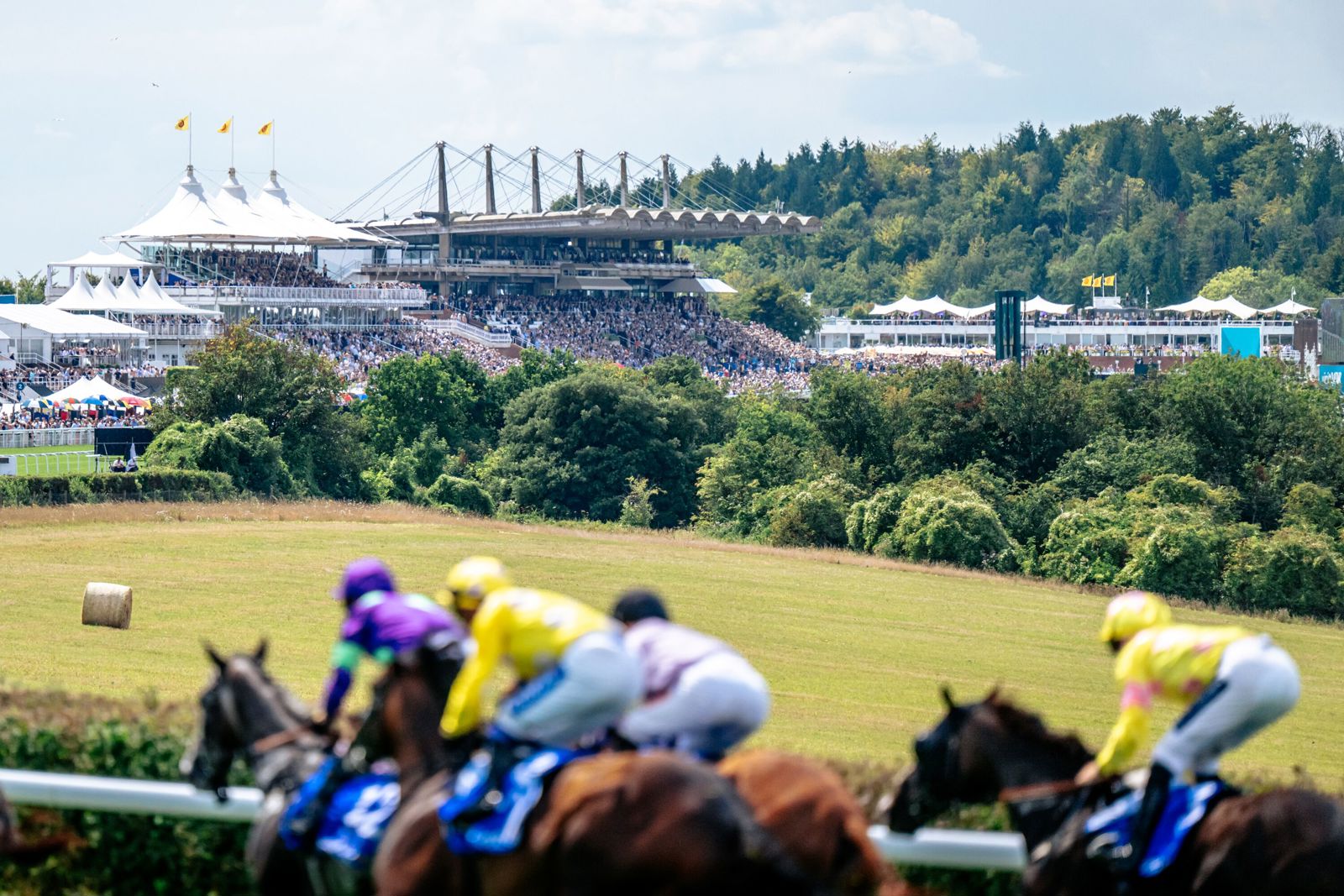 Goodwood Racecourse, from Goodwood