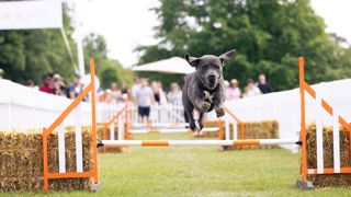 Goodwoof2025_MaxCarter_077.jpg