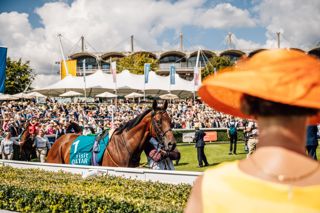 QGF 2025 by Nicole Hains