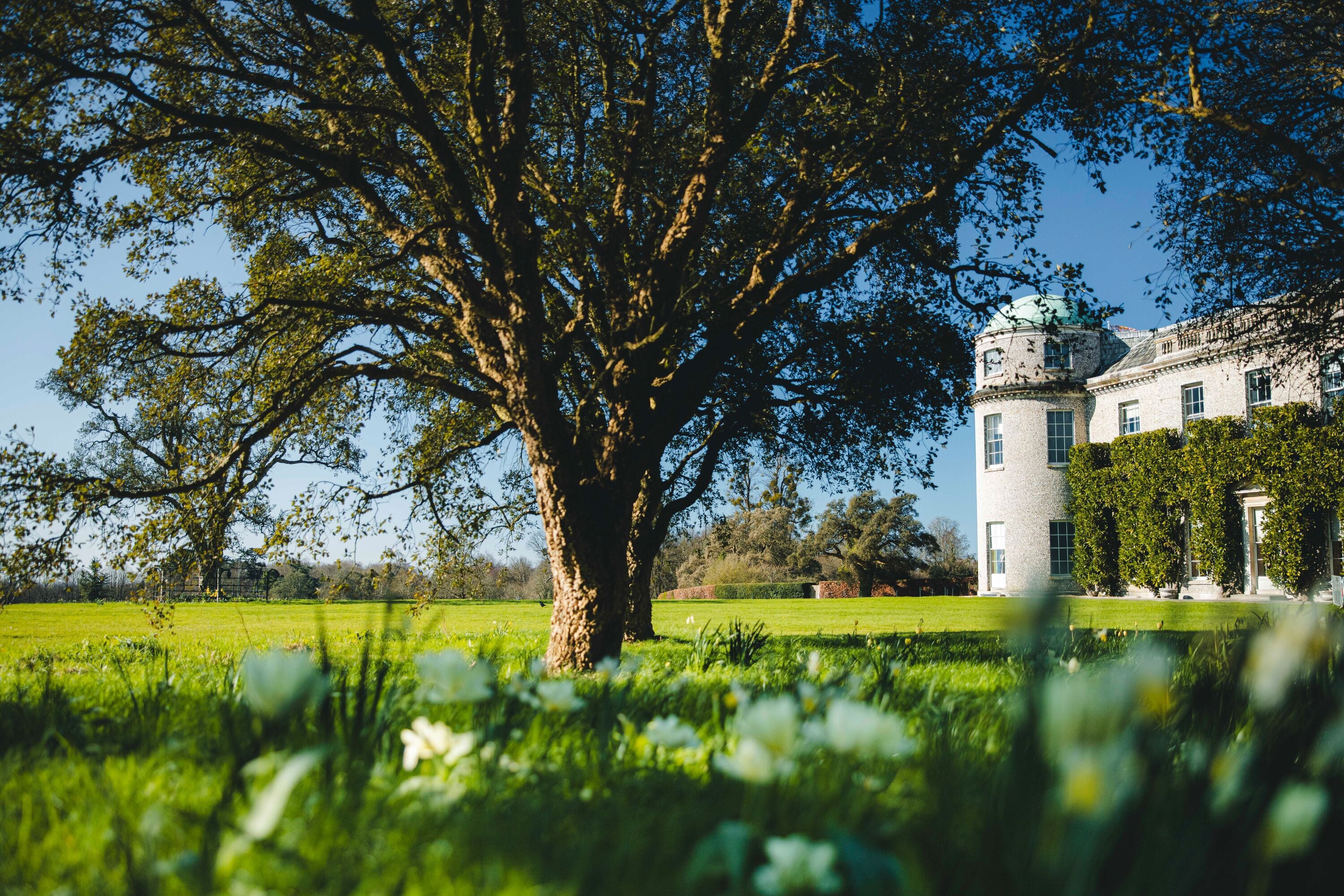KJR_Goodwood-Spring-Shoots-18-03-26-18.jpg