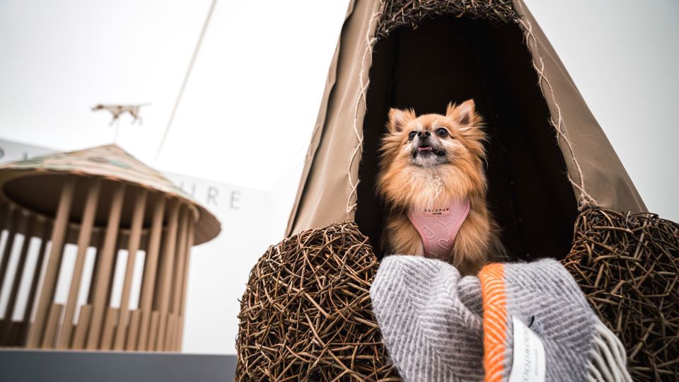 2025 -  Lord David Snowdon + The King's Foundation - Snowdon Dog House