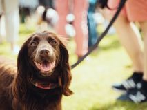 Goodwoof2022_TomBaigent-jpg-57.jpg