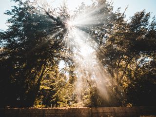 FoS_18_JoaoFilipe_0196.jpg