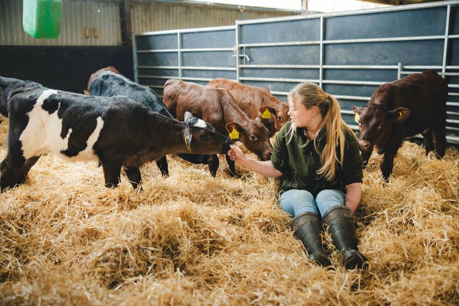 HomeFarmDairy_KirstyJayneRussell_2026_-04.jpg