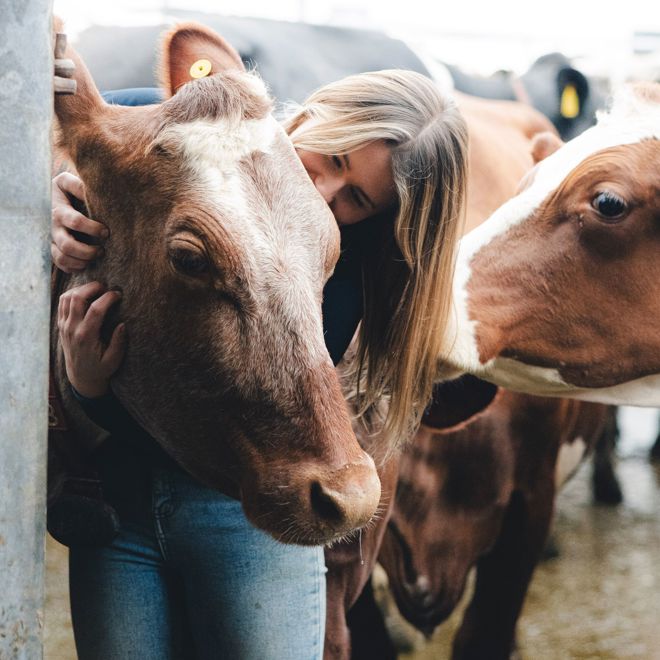 HomeFarmDairy_KirstyJayneRussell_2026_-08.jpg