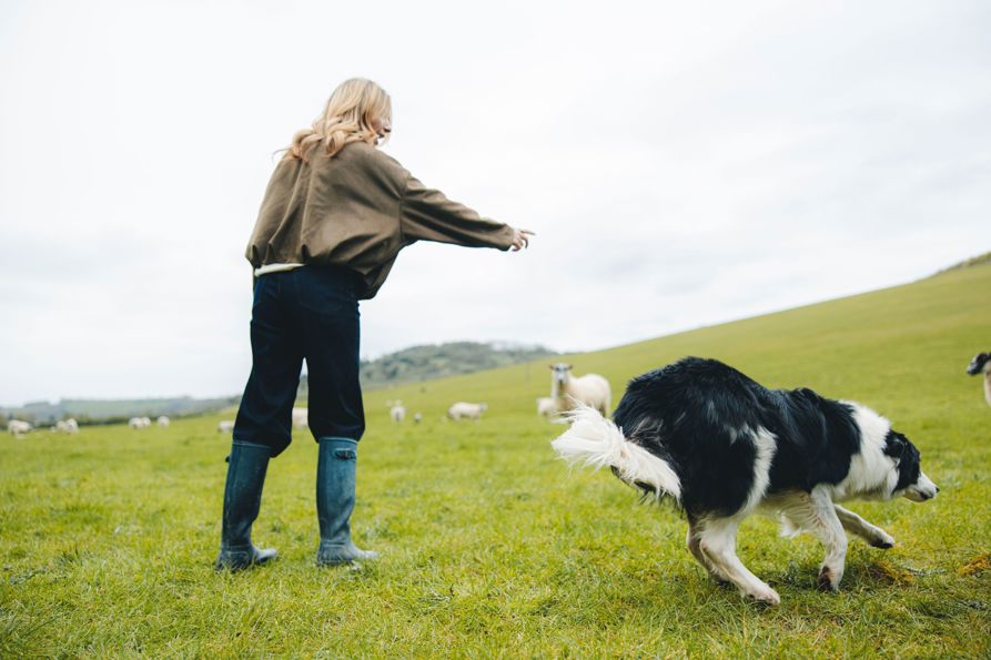 HomeFarmSheep_KirstyJayneRussell_2026_-26.jpg