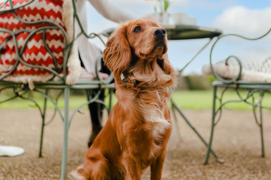 Kennels-Terrace-Summer_BradleyBasten_2024_010.jpg