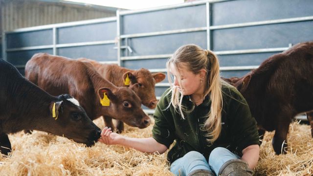 HomeFarmDairy_KirstyJayneRussell_2026_-21.jpg