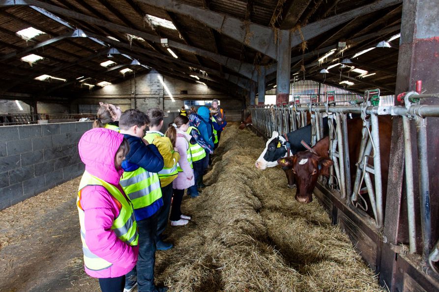 School Farm Visit 

Tangmere School