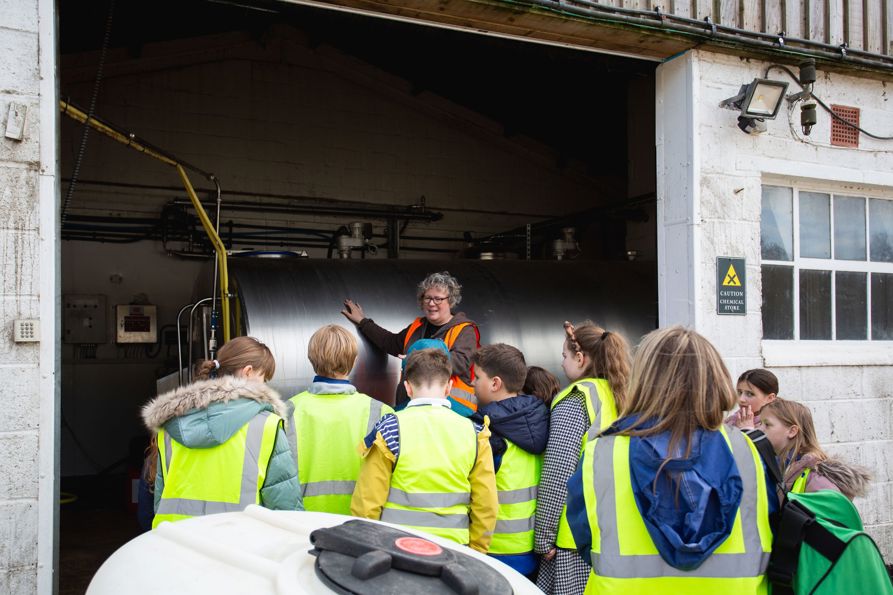 School Farm Visit
Tangmere School