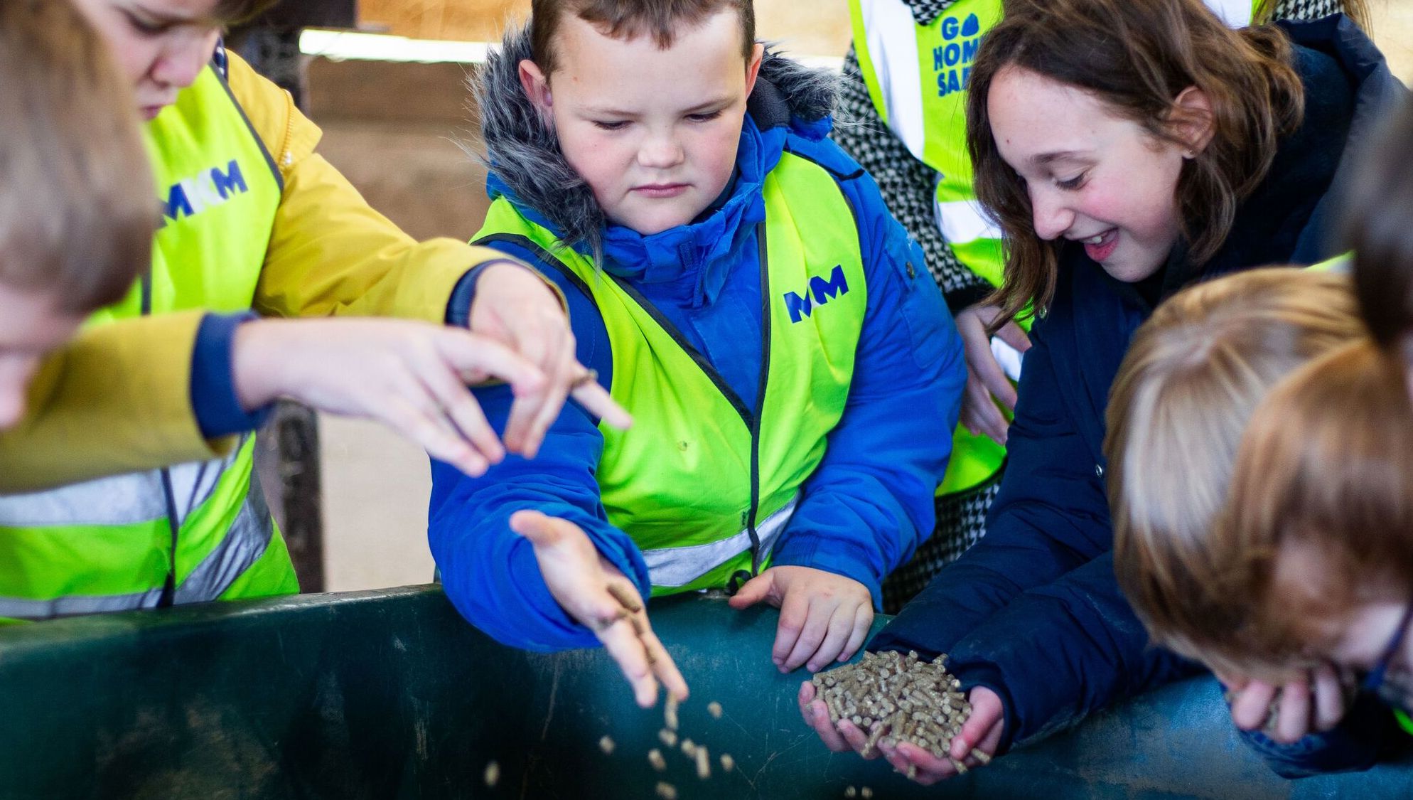 School Farm Visit 

Tangmere School