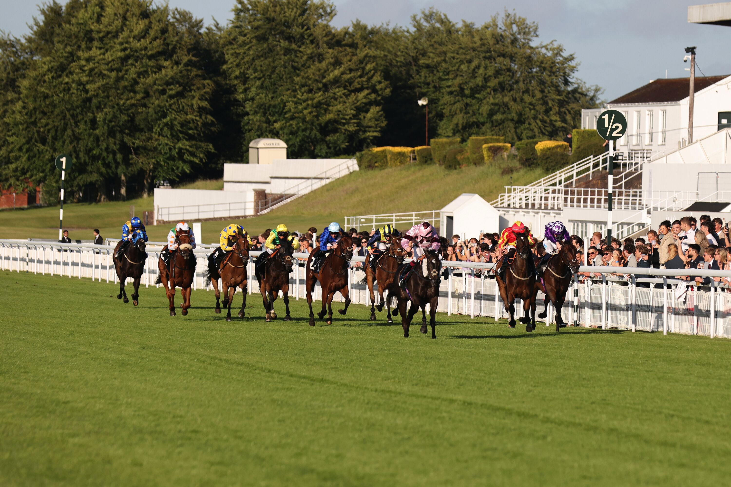 Goodwood TFN Raceday - Friday 12th June 2026. Pictured is the 19:14 Fitzdares Fillies' Handicap
(Class 5).

Photograph by Sam Stephenson, 07880 703135, www.samstephenson.co.uk.