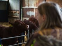 School Farm Visit
Tangmere School