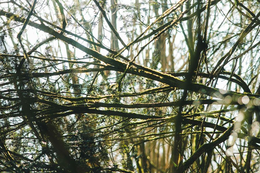 KJR_Goodwood-Spring-Shoots-04-03-26-23.jpg