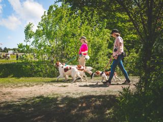 Goodwoof2023_KirstyJayneRussell-191.jpg