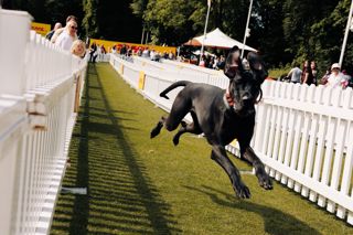 Goodwoof2026_JohnathanSwann__72.jpg