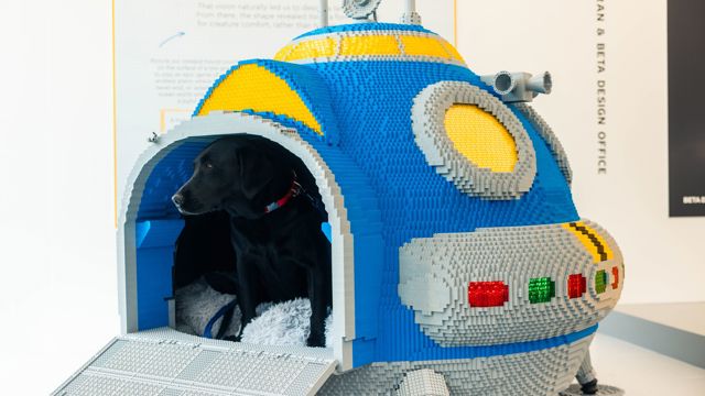 Goodwoof2026_TomShaxson-261.jpg
