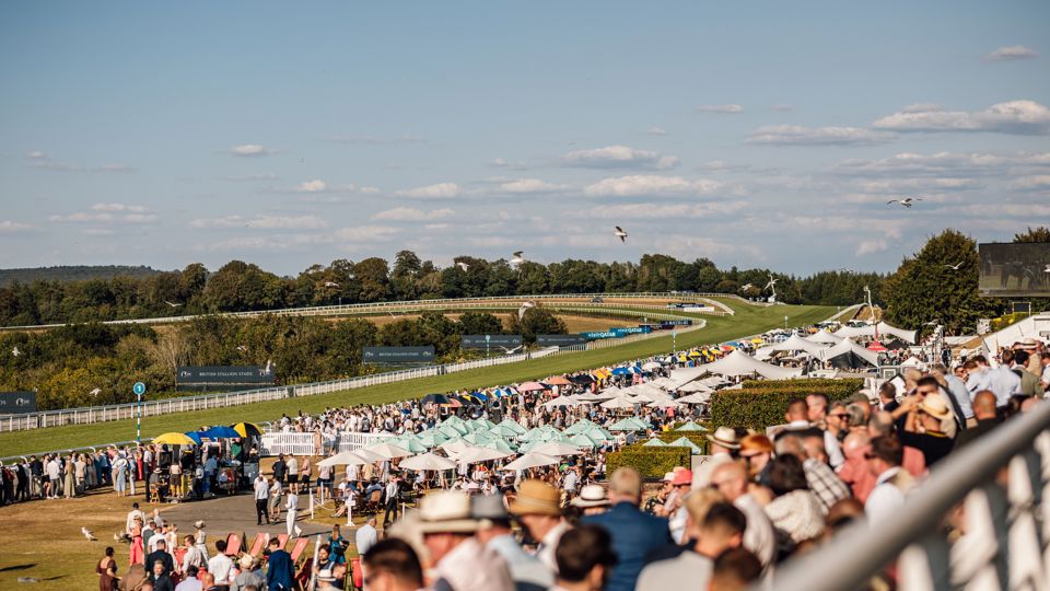 QGF2026_NicoleHains_1116.jpg