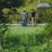 GoodwoodSummit_KirstyJayneRussell_2025_388.jpg