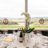 QGF2026_JenDeBerigny_0054.jpg