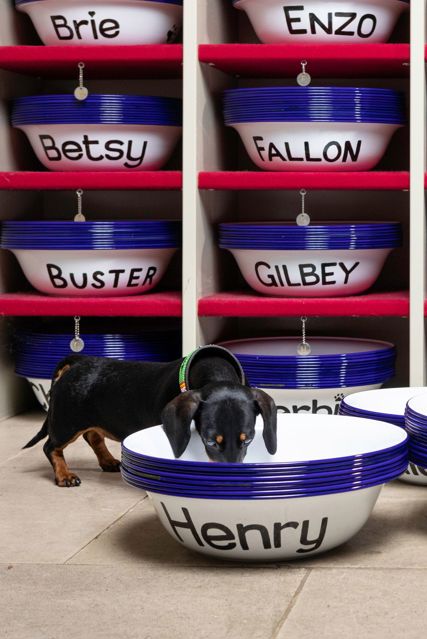 Website-TheKennels_ChristopherIson_2019_1.jpg