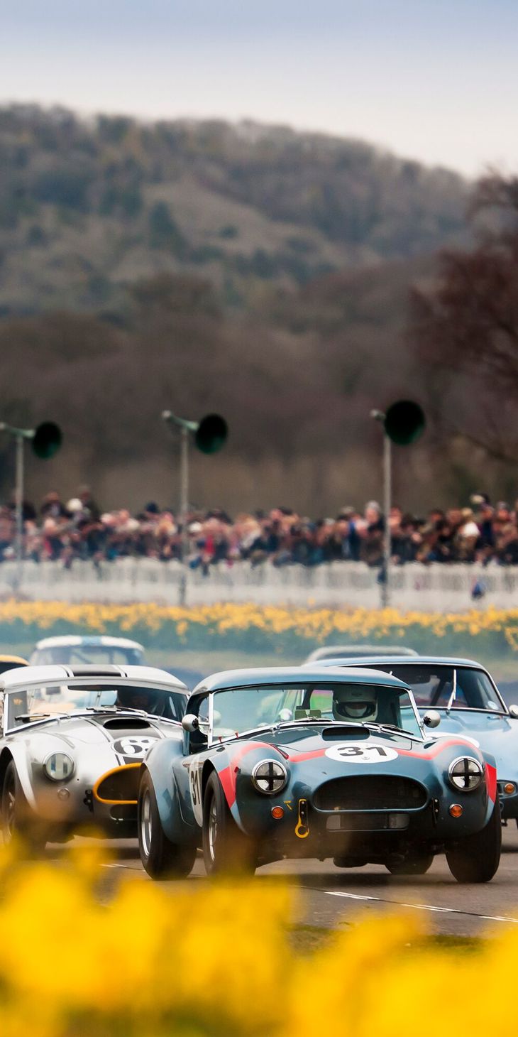 2016 Goodwood Members Meeting..74th Members Meeting ..19th - 20th March 2016...Graham Hill trophy..Photo: Drew Gibson.