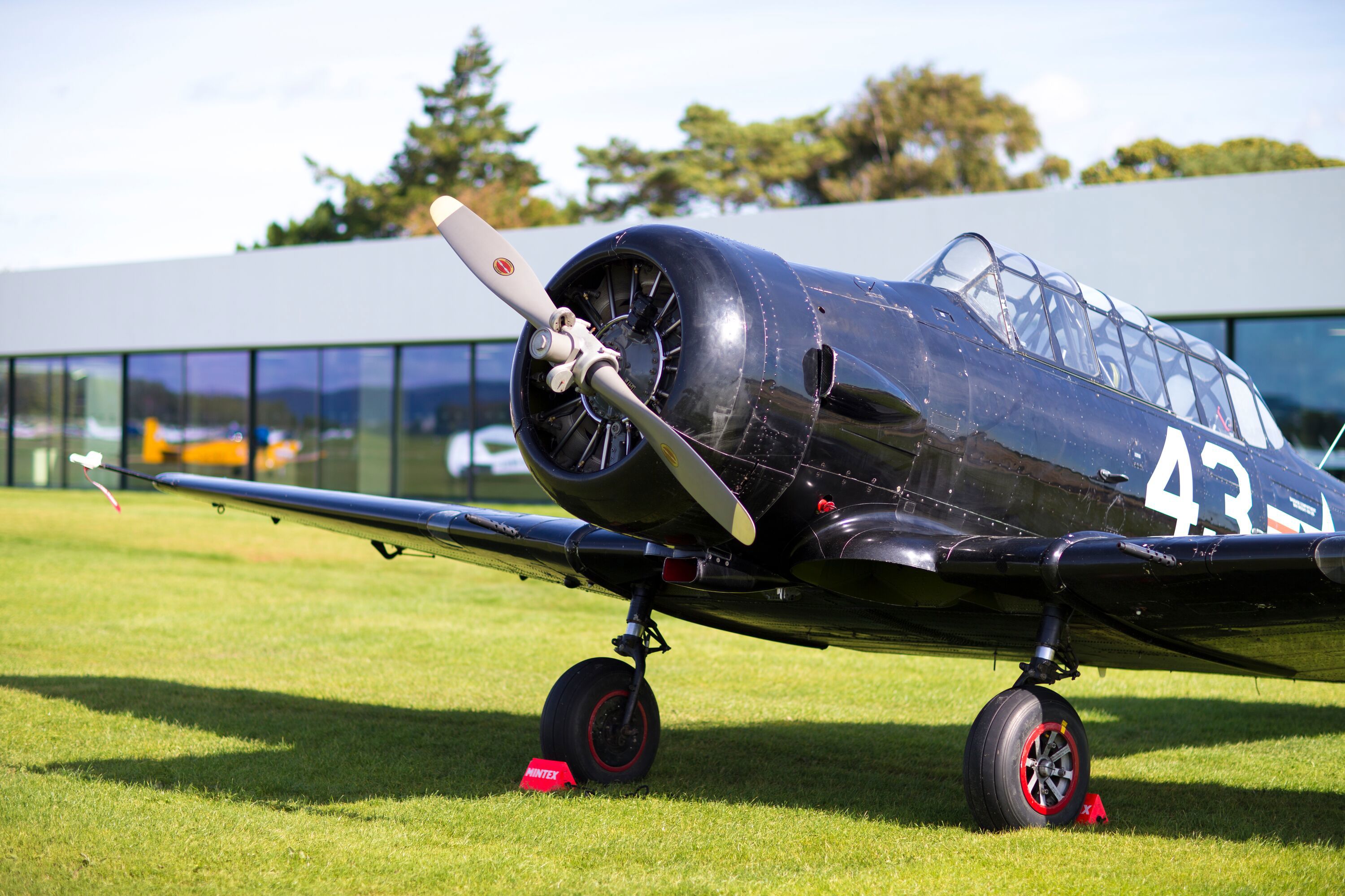 Aeroclub at Goodwood 2015 by Nicole Hains