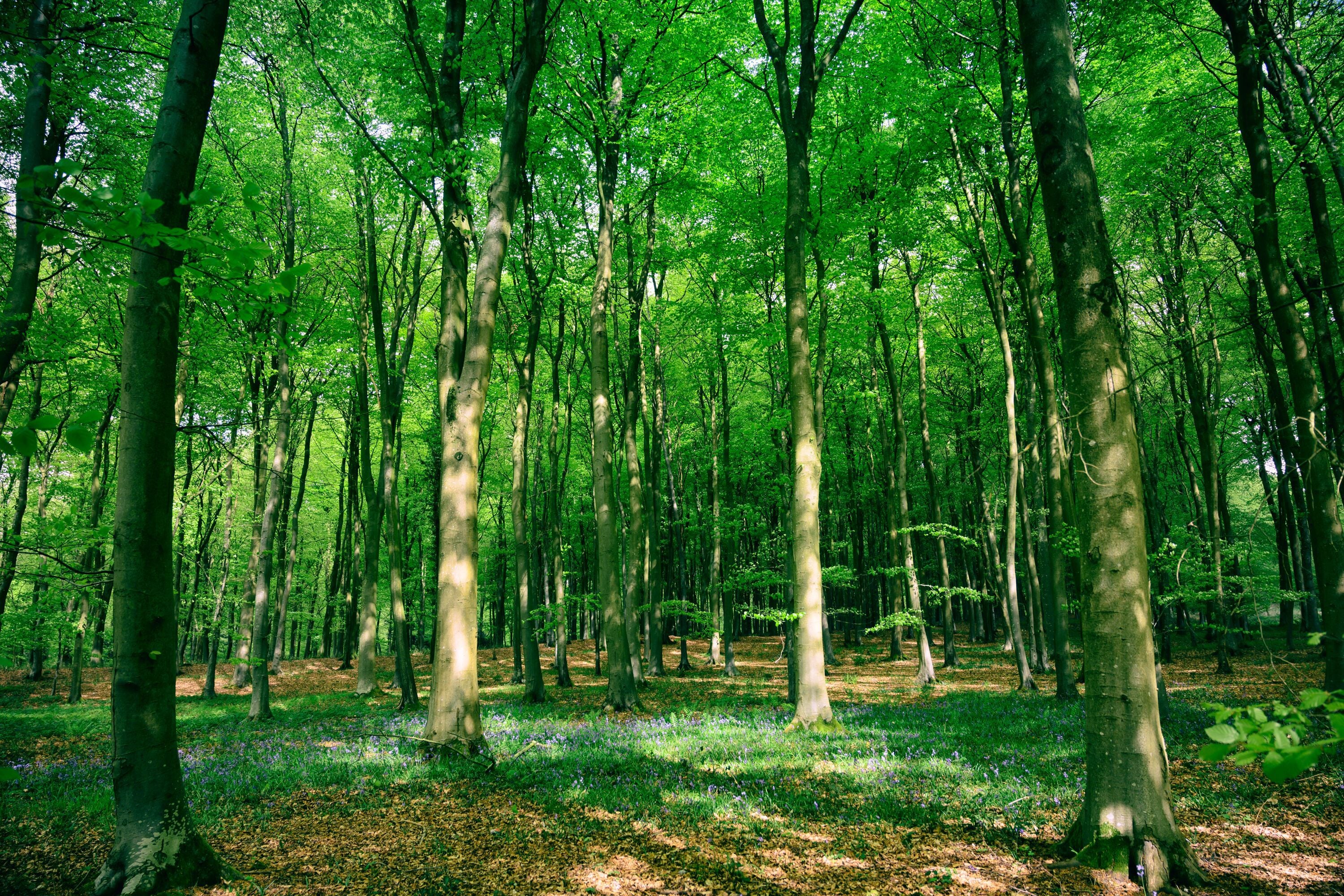Website-Estate_JonNicholson_2019_018.jpg
