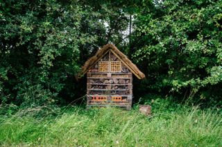 Website-GoodwoodBugHotel_JaysonFong_017.jpg