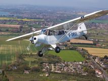 Piper Cub, Goodwood by Nicole Hains