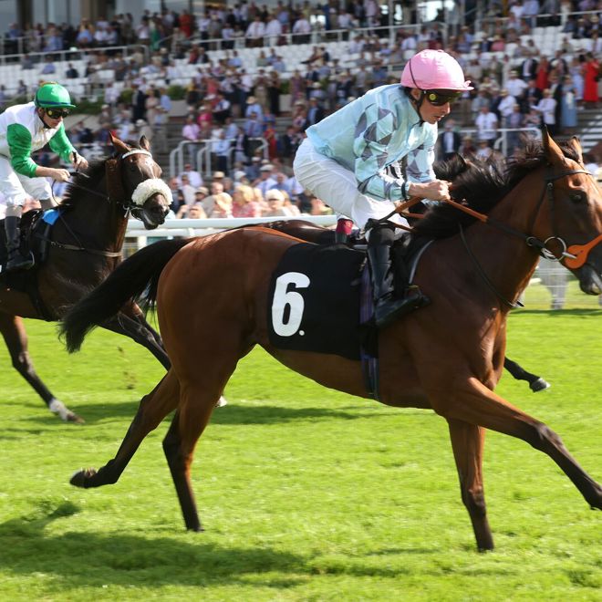 Goodwood Midweek Racing - Tuesday 5th September 2023. Pictured is the 2:45 WILLIAM HILL EPIC BOOST FILLIES' NURSERY HANDICAP (Class 3)...Photograph by Sam Stephenson, 07880 703135, www.samstephenson.co.uk.