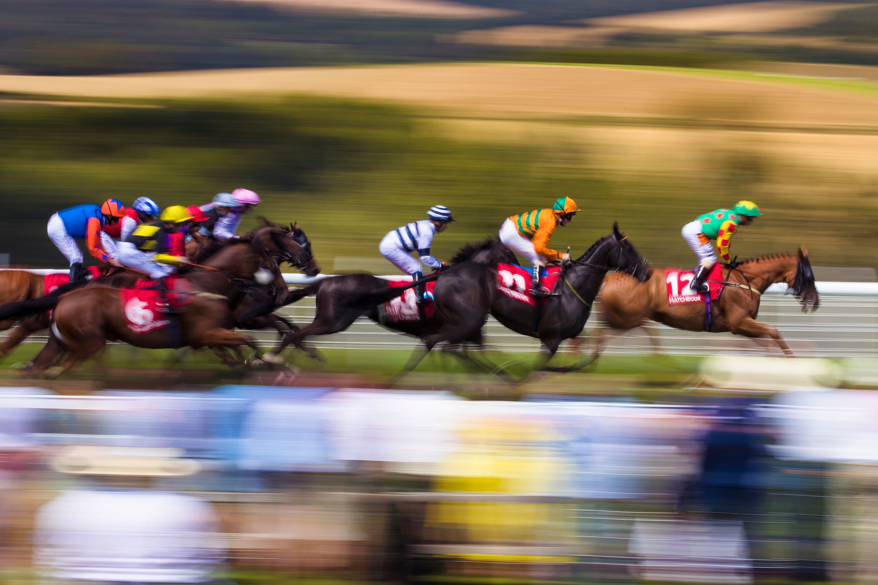 2018 Qatar Goodwood Festival.QGF2018.1st - 4th August 2018.Photo: Drew Gibson Day 2: Race 1