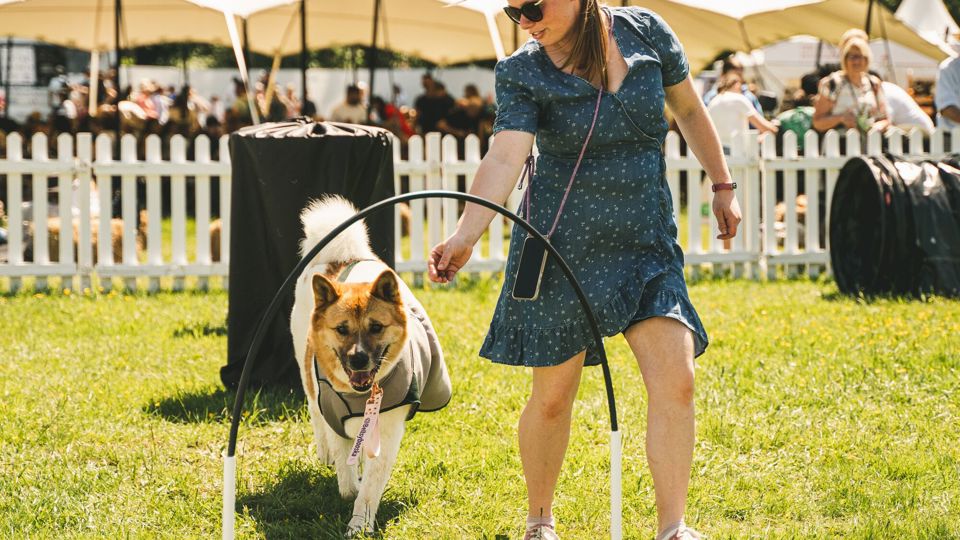 Website-Goodwoof2024_JackBeasley_383.jpg