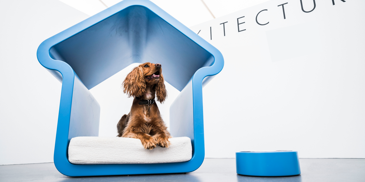 Untitled design (29).png