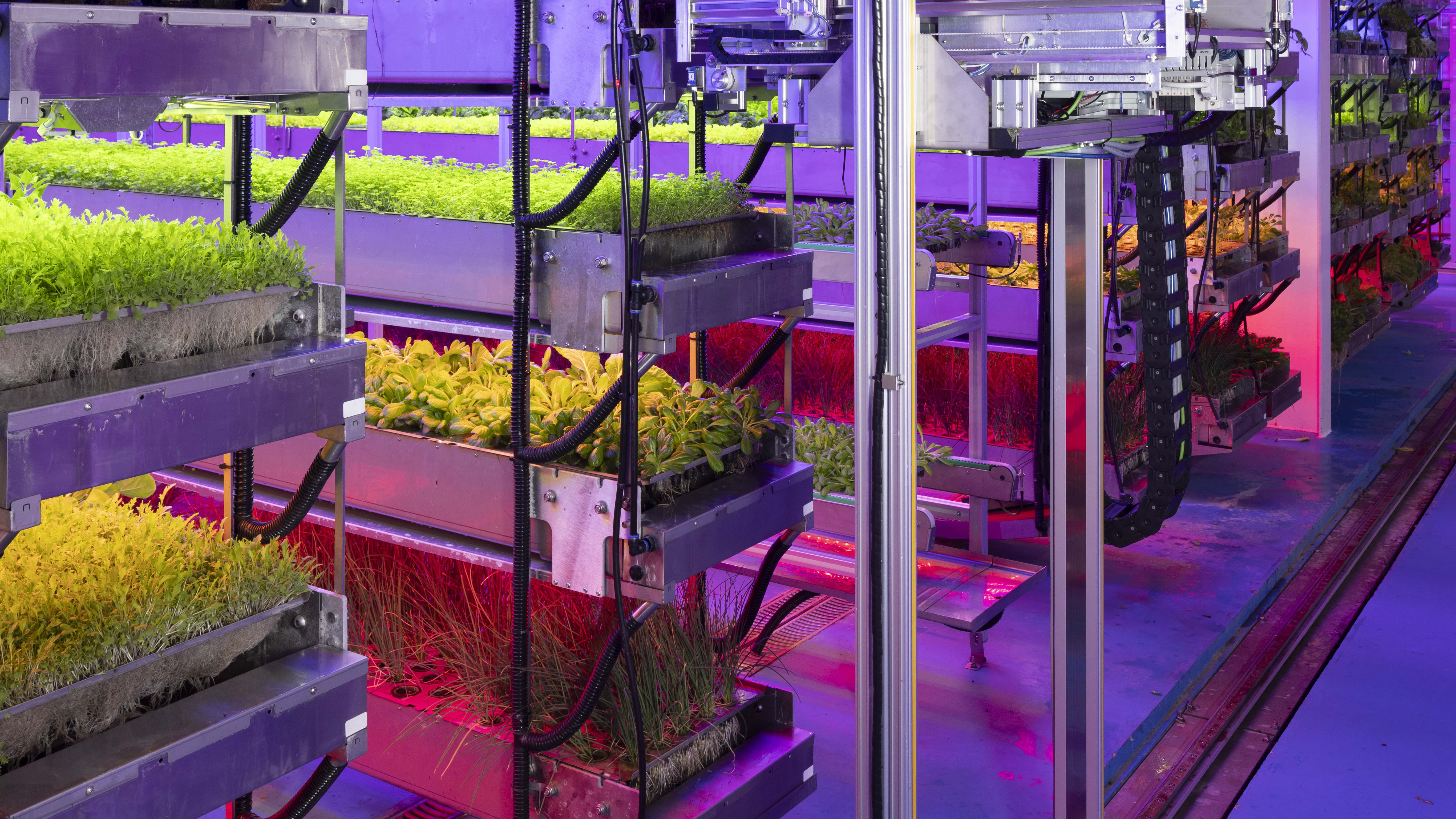 future lab vertical futures 1.jpg