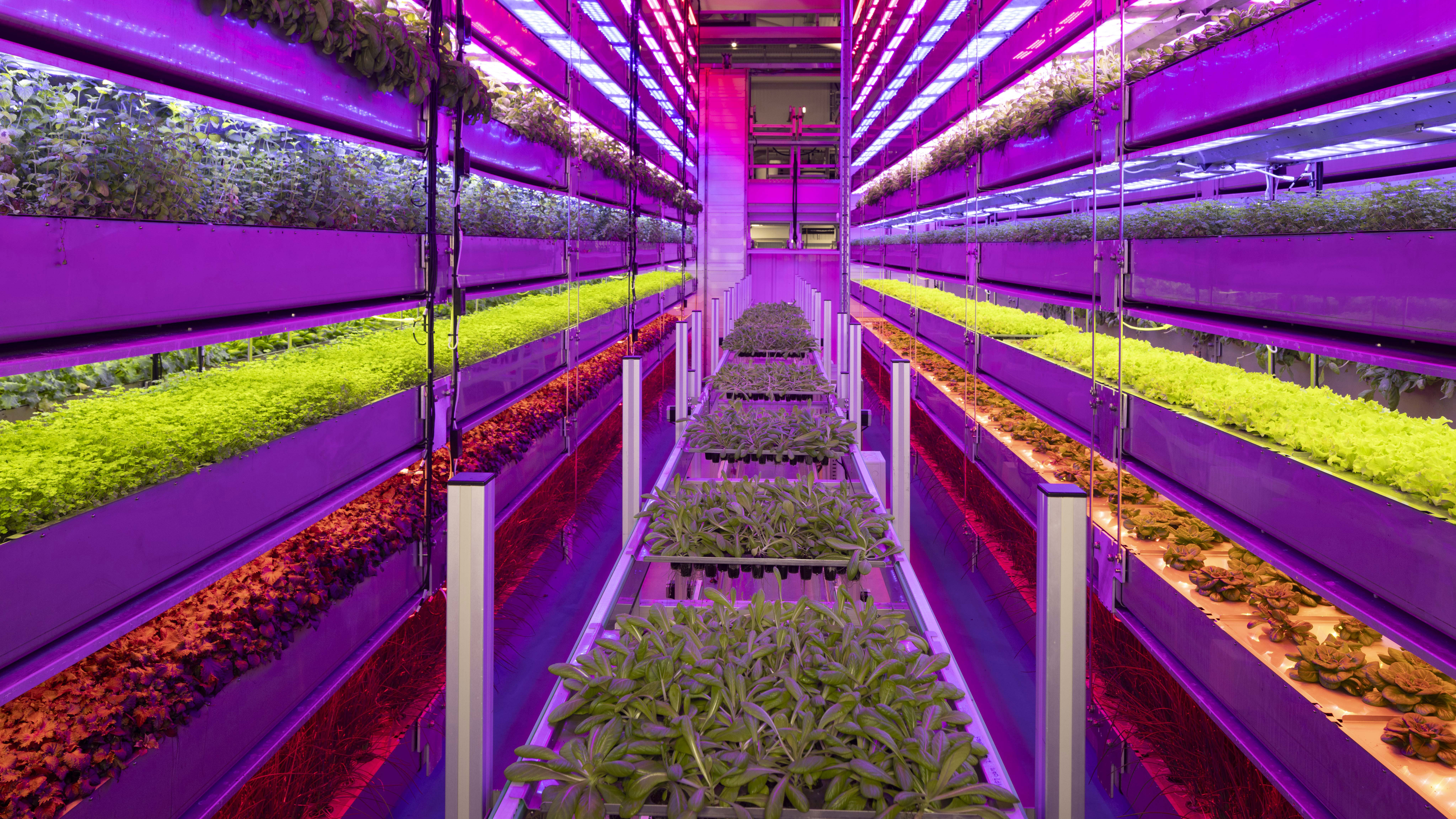 future lab vertical futures 2.jpg