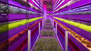 future lab vertical futures MAIN.jpg