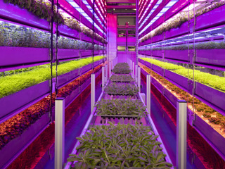 future lab vertical futures MAIN.jpg