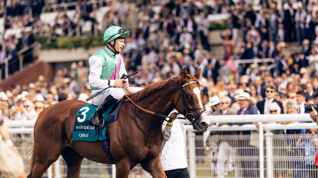 goodwood 2025 in numbers 06.jpg