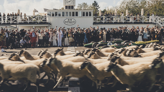 goodwood 2025 in numbers 07.jpg