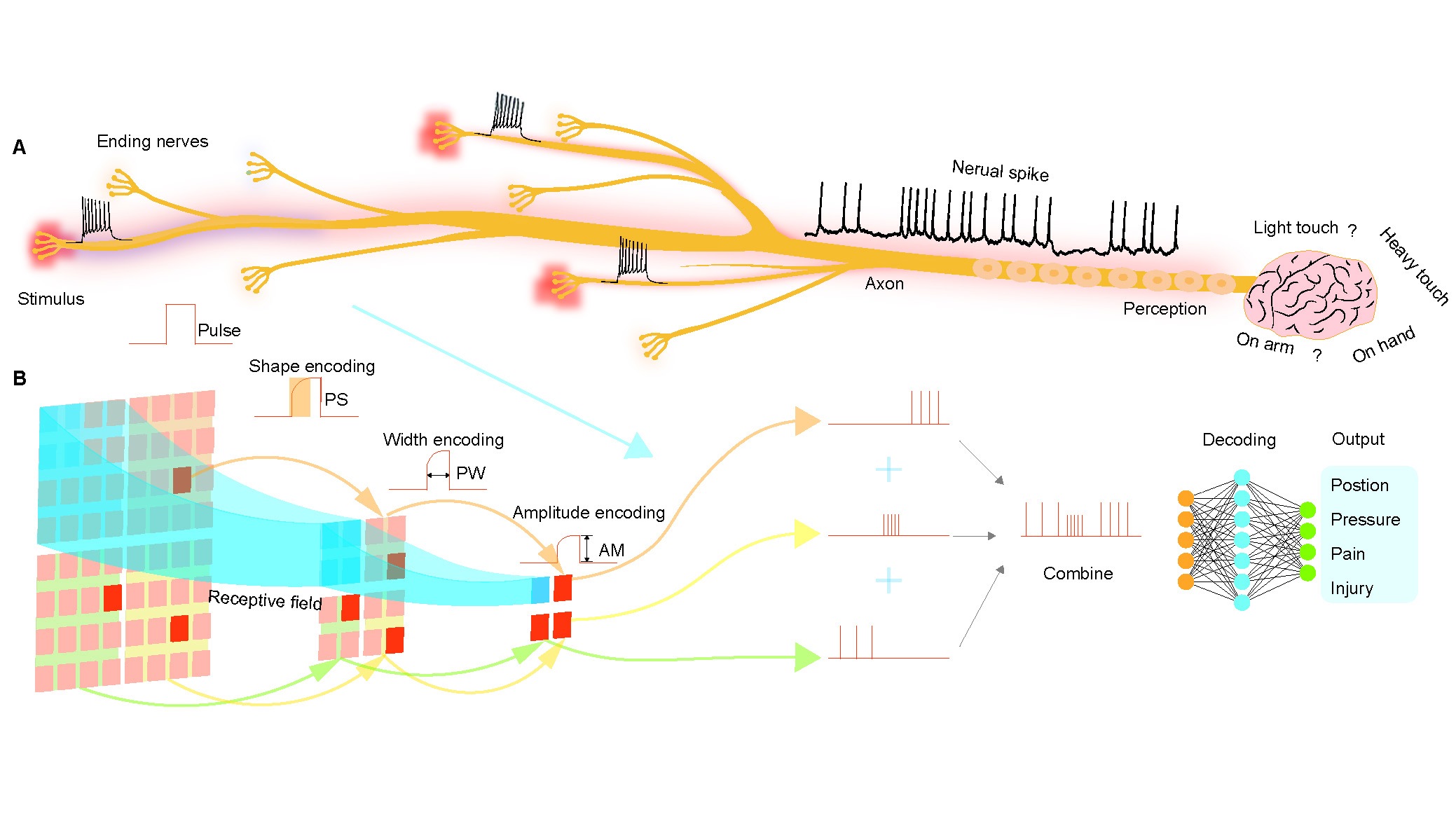future lab Neuromorphic skin  (1) copy.jpg