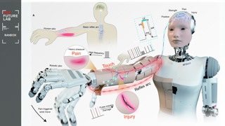 future lab Neuromorphic skin MAIN.jpg