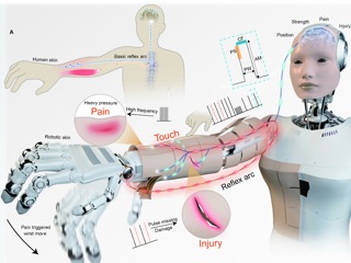 future lab Neuromorphic skin MAIN.jpg