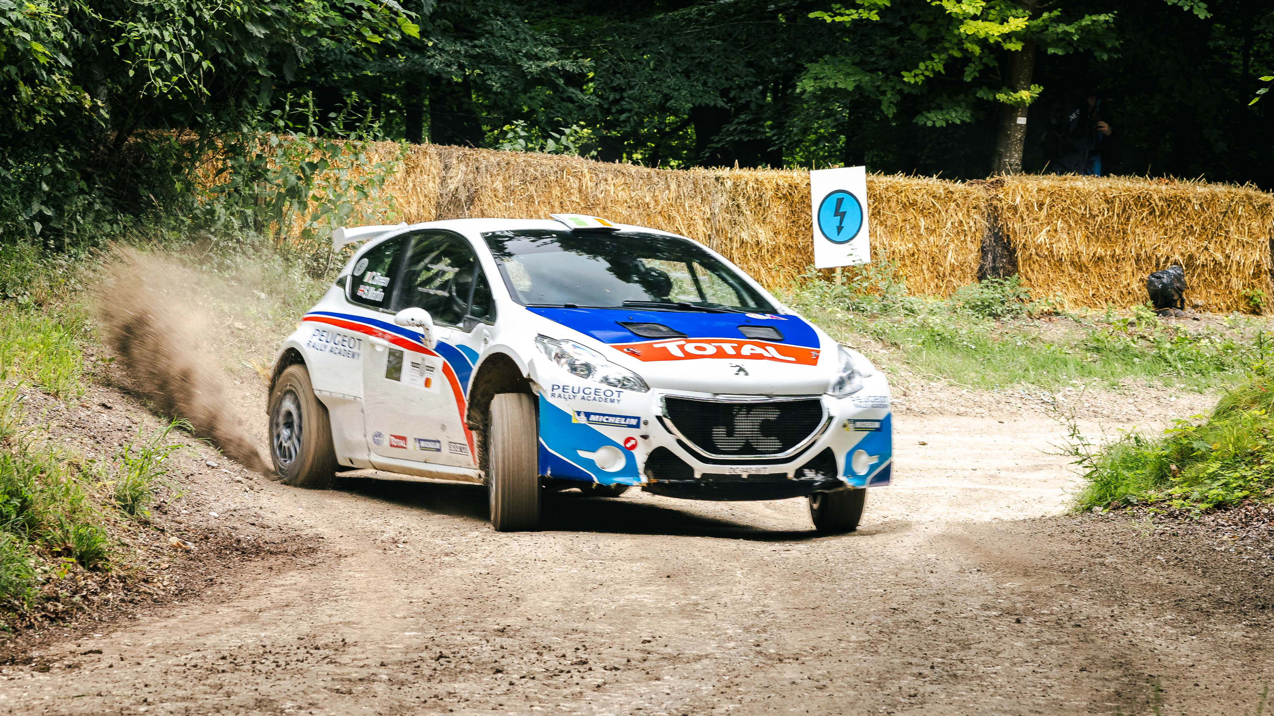 things to see at fos rally stage TW.jpg
