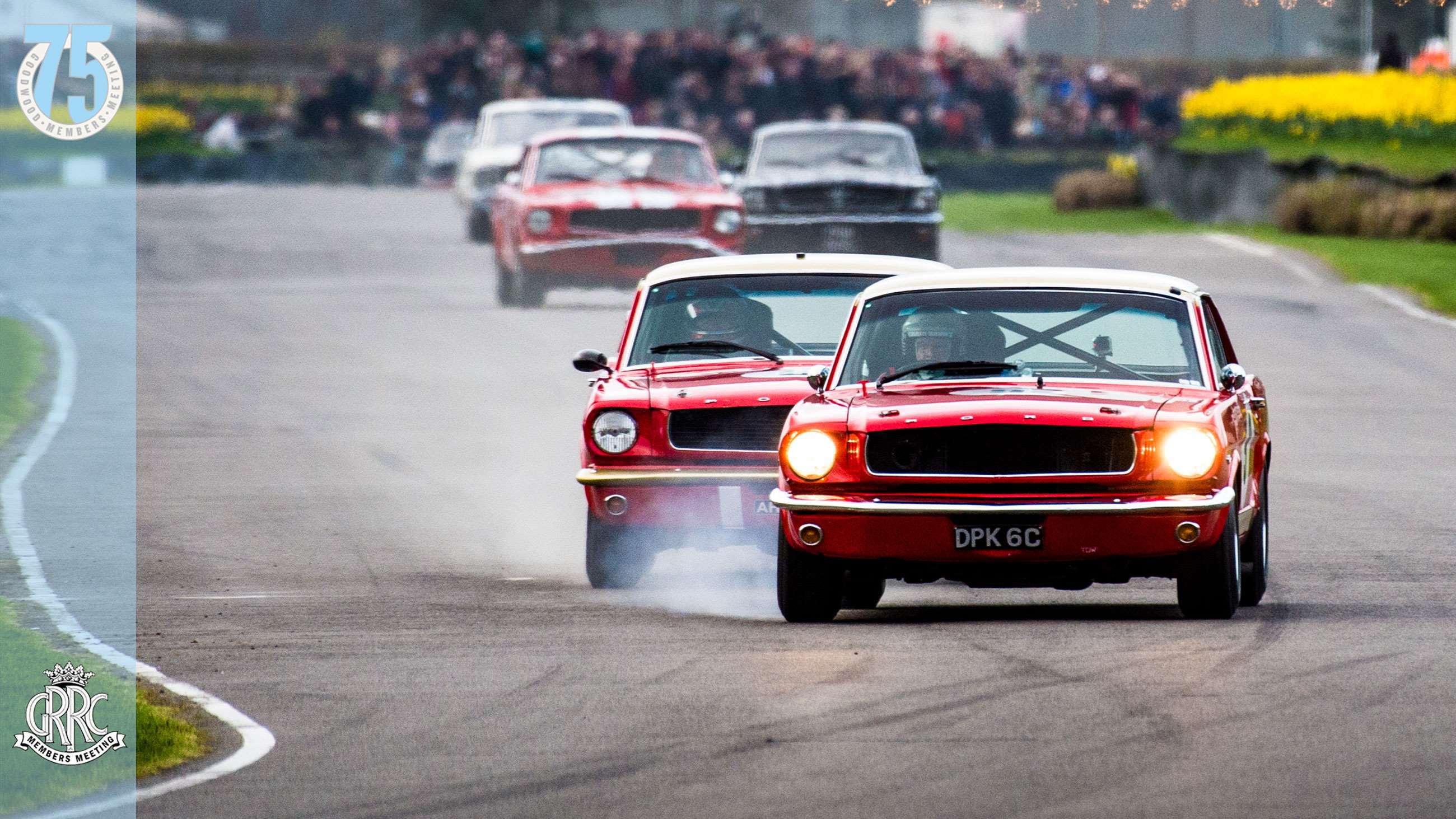 [Video] Mighty Mustang on Mustang track battle | GRR