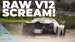 V12 scream.jpg