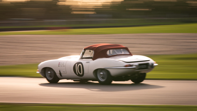 what is the prothereoe cup 1.jpg