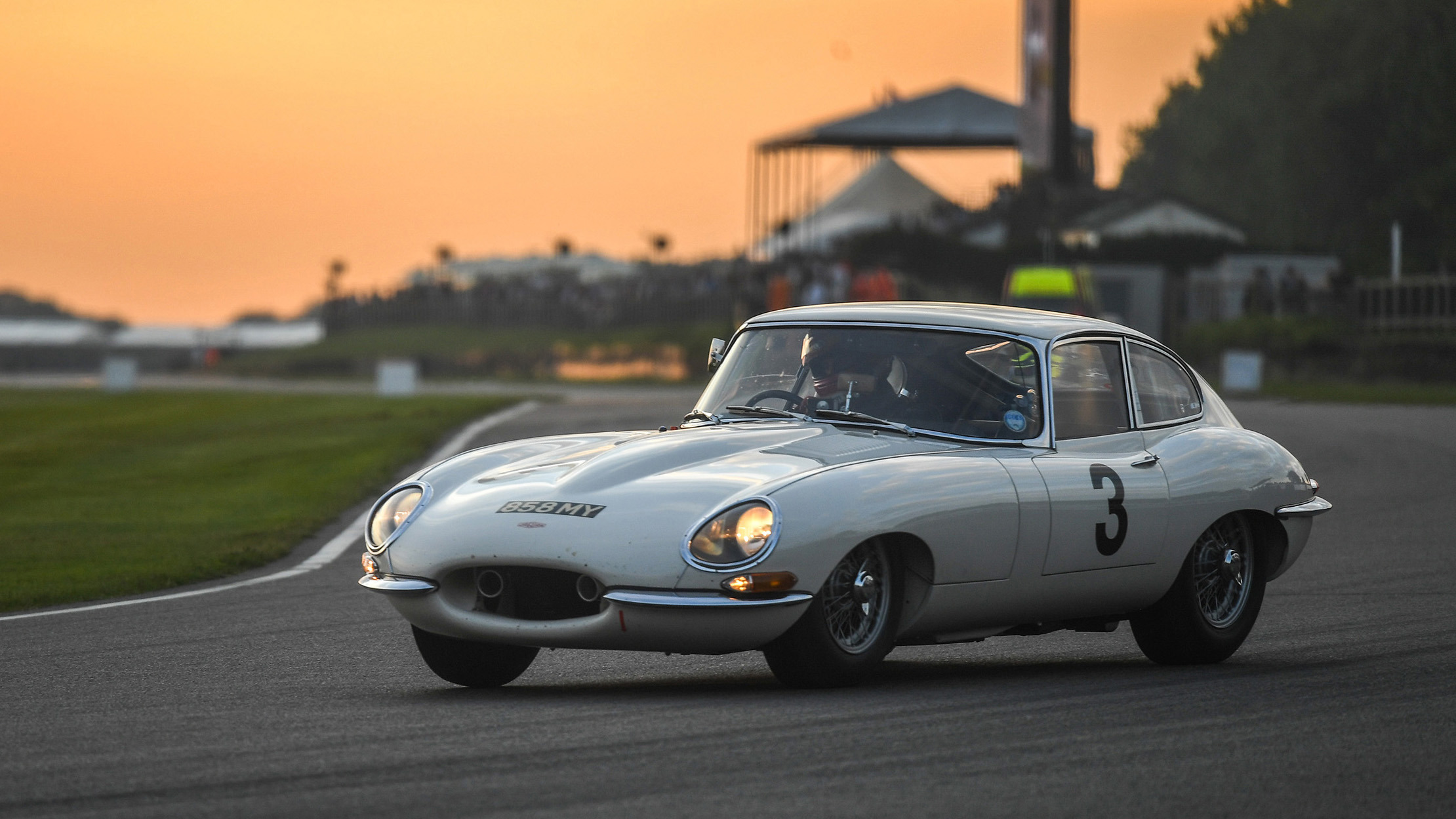 what is the prothereoe cup 2.jpg