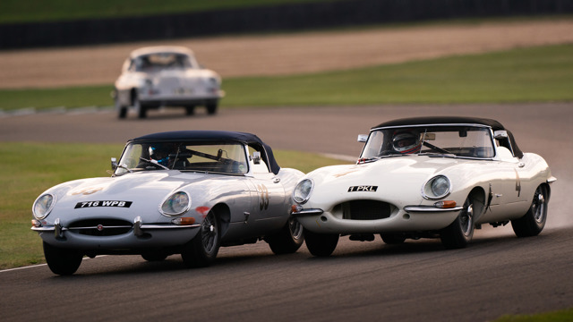 what is the prothereoe cup 3.jpg